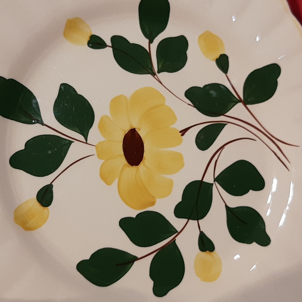Blue Ridge vintage platter - Picture 5 of 10